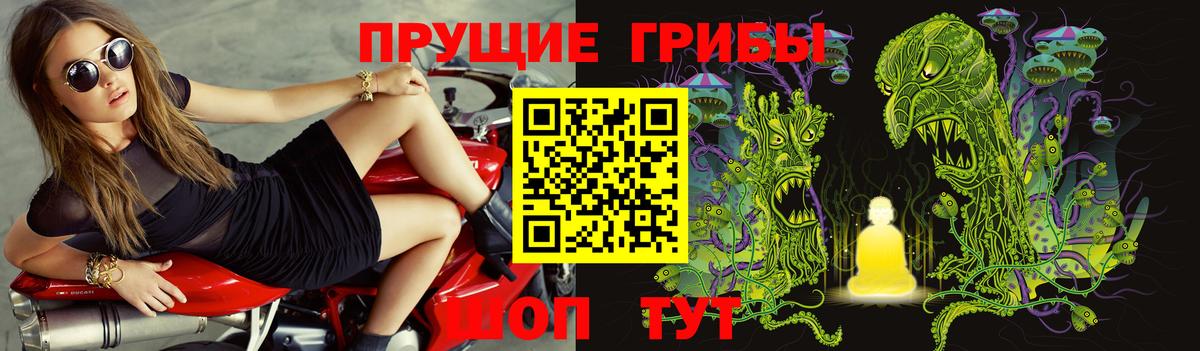 Псилоцибиновые грибы Psilocybine cubensis Советск